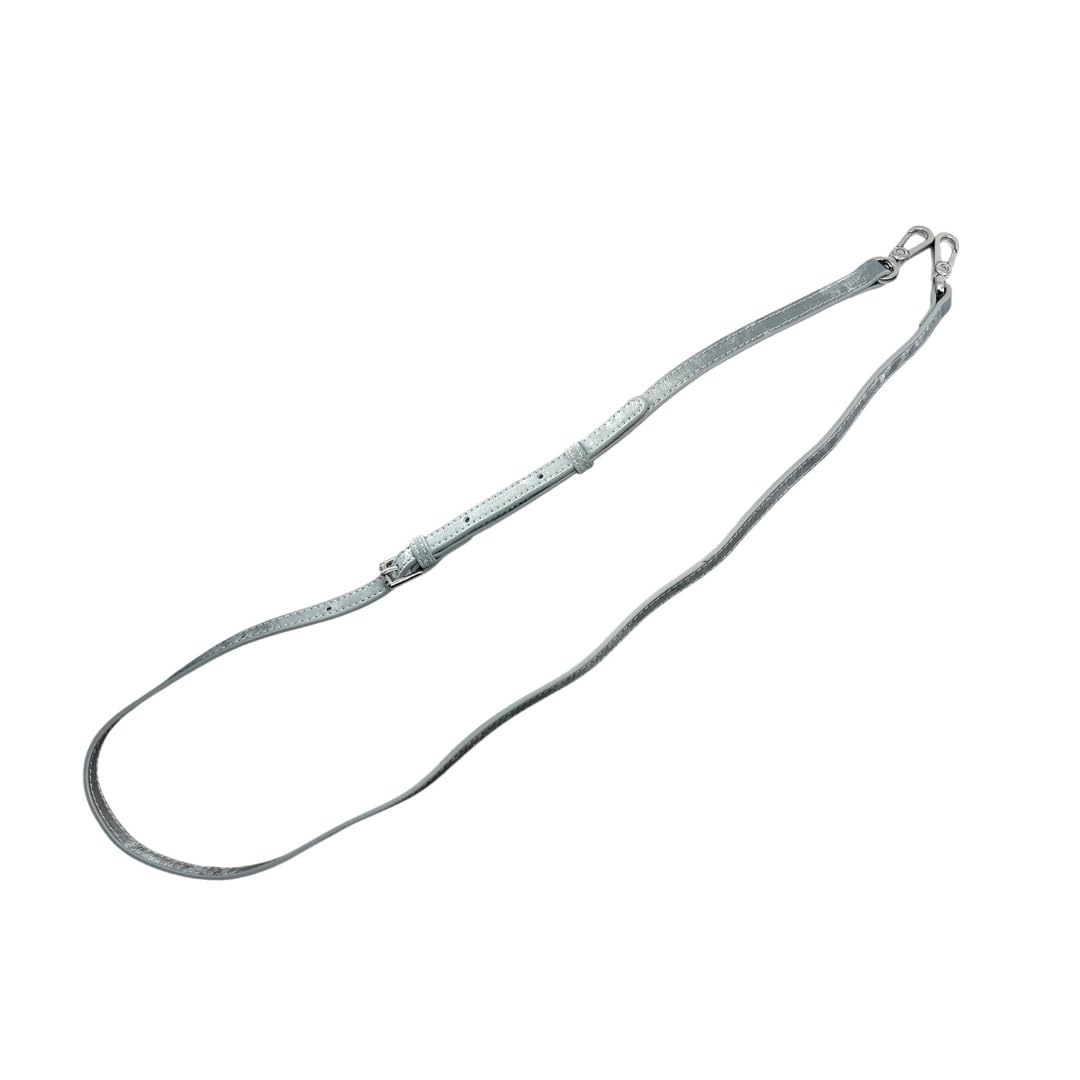 Silver strap on a white background